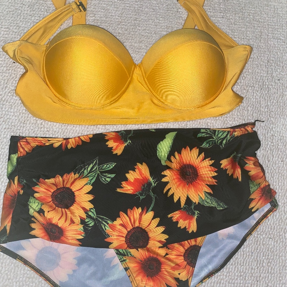 Plus two piece swim suit